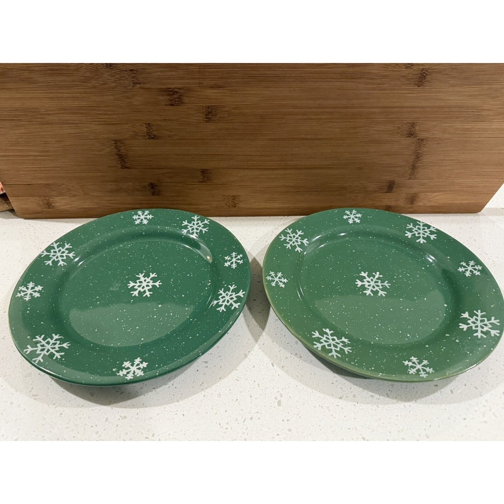 Four Star‎ Stoneware Snowflake Plates Green Set Of 2